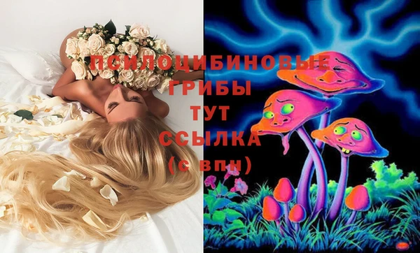кокс Абдулино