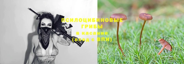 гашик Абинск