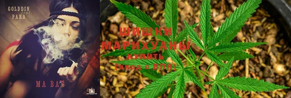 МДПВ Абаза