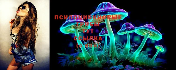 МДПВ Абаза